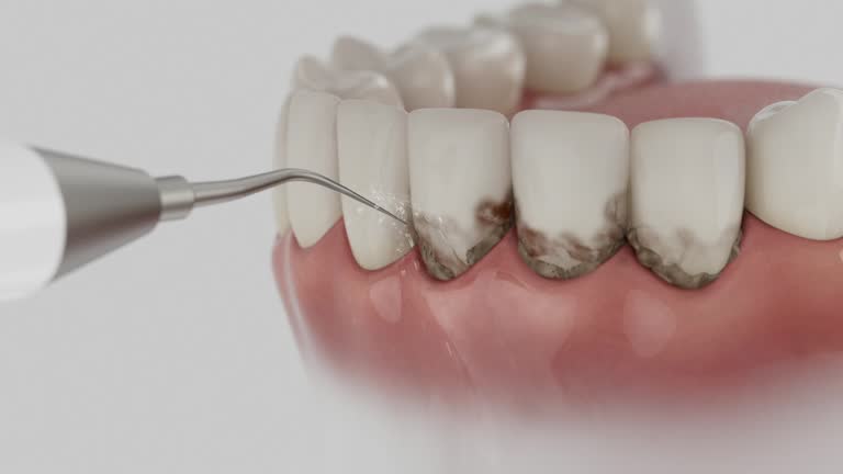 Reliable Dental contractor in South Gate Ridge, FL by Dentist Open Now